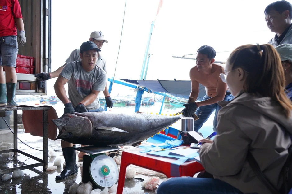 Những nụ cười mặn mùi biển tại cảng Hòn Rớ Những nụ cười mặn mùi biển tại cảng Hòn Rớ