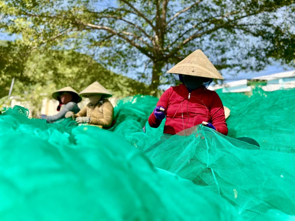 Những nụ cười mặn mùi biển tại cảng Hòn Rớ Những nụ cười mặn mùi biển tại cảng Hòn Rớ