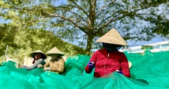 Những nụ cười mặn mùi biển tại cảng Hòn Rớ