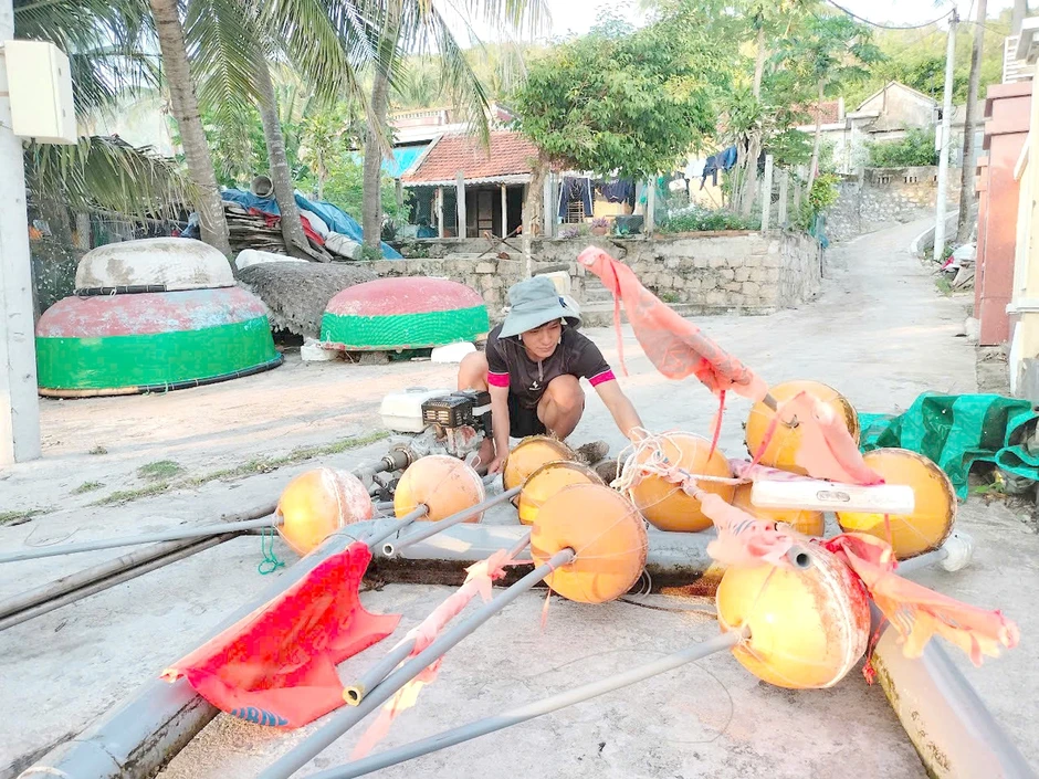 Nơi san hô nảy chồi và rùa biển tái xuất Nơi san hô nảy chồi và rùa biển tái xuất