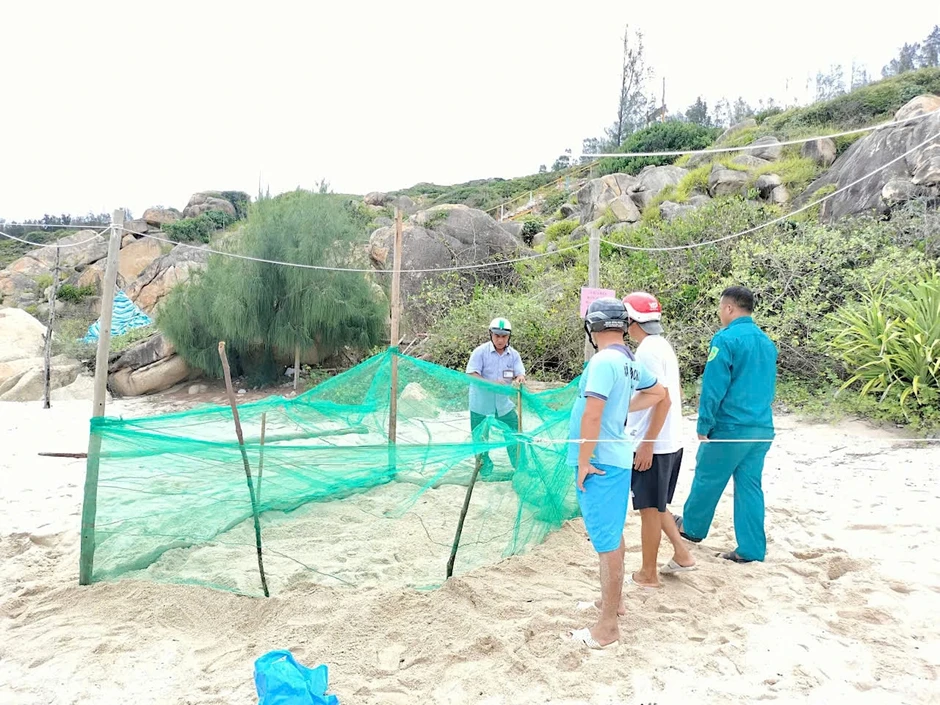 Nơi san hô nảy chồi và rùa biển tái xuất Nơi san hô nảy chồi và rùa biển tái xuất