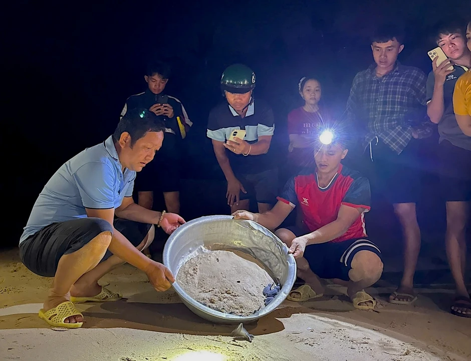 Nơi san hô nảy chồi và rùa biển tái xuất Nơi san hô nảy chồi và rùa biển tái xuất