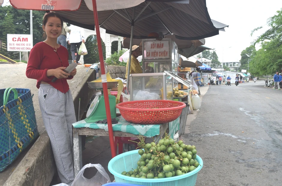 Rực rỡ mùa dâu ở núi Cấm Rực rỡ mùa dâu ở núi Cấm