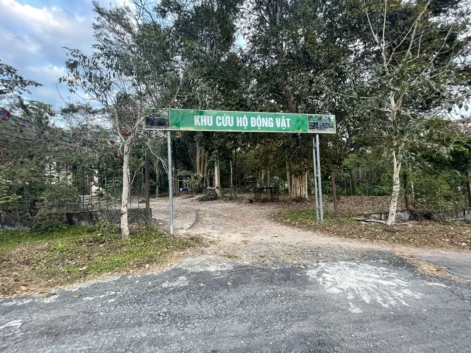 Rừng của muôn loài khỉ Rừng của muôn loài khỉ