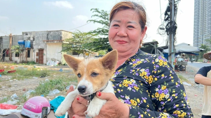 Tần tảo buôn bán 'du mục' theo công trình