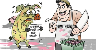 Thịt heo bệnh vào trường học: Nghiêm trị để ngăn tái diễn
