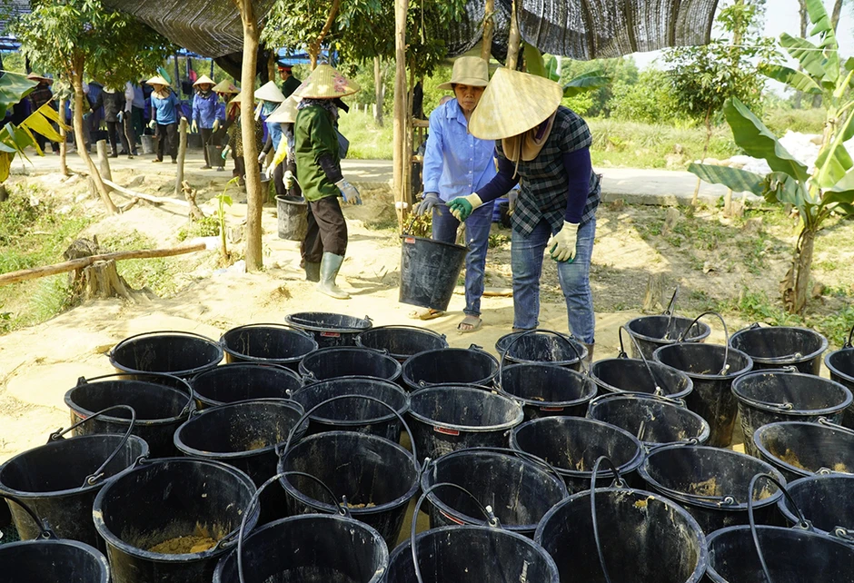 Tìm người từng ở bên kia chiến tuyến: 'Chúng ta sẽ chưa dừng lại!' Tìm người từng ở bên kia chiến tuyến: 'Chúng ta sẽ chưa dừng lại!'