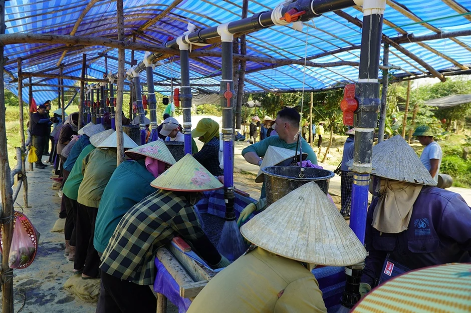 Tìm người từng ở bên kia chiến tuyến: 'Chúng ta sẽ chưa dừng lại!' Tìm người từng ở bên kia chiến tuyến: 'Chúng ta sẽ chưa dừng lại!'