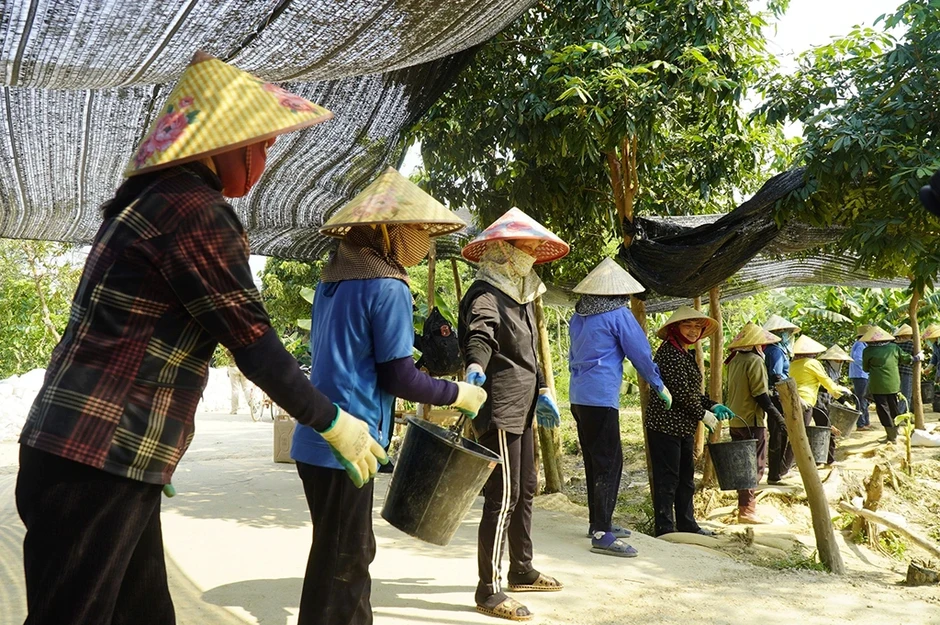Tìm người từng ở bên kia chiến tuyến: 'Chúng ta sẽ chưa dừng lại!' Tìm người từng ở bên kia chiến tuyến: 'Chúng ta sẽ chưa dừng lại!'