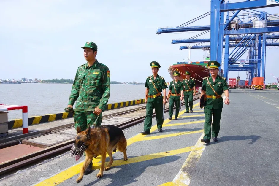 Biên phòng TPHCM: Đẩy mạnh chuyển đổi số, nâng cao chất lượng kiểm soát xuất nhập cảnh Biên phòng TPHCM: Đẩy mạnh chuyển đổi số, nâng cao chất lượng kiểm soát xuất nhập cảnh