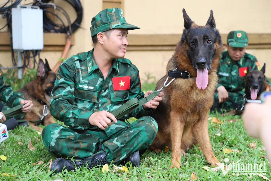 Bộ đội Việt Nam cùng quân khuyển xuất quân cứu hộ động đất Venezuela Bộ đội Việt Nam cùng quân khuyển xuất quân cứu hộ động đất Venezuela