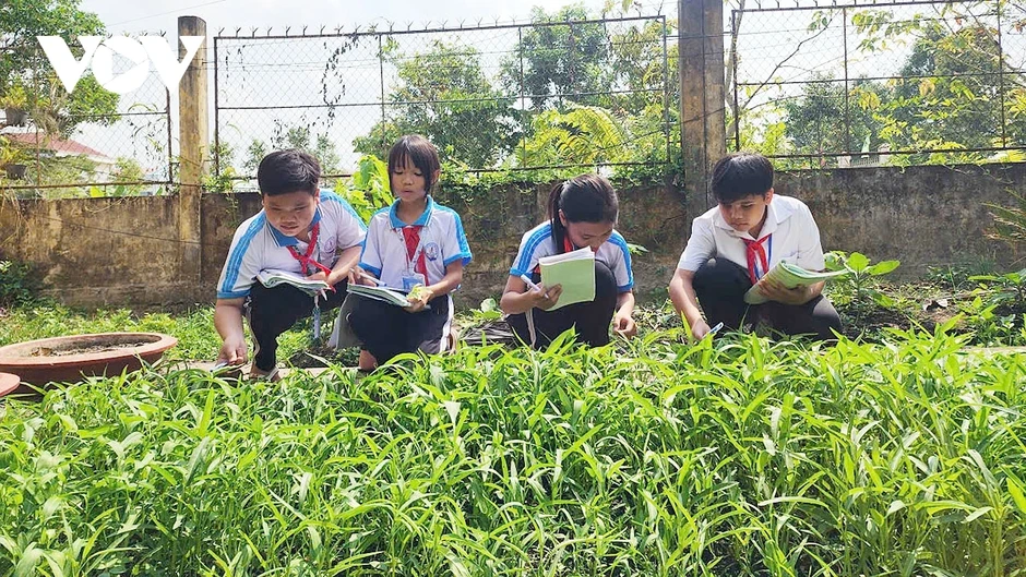 Cần Thơ lan tỏa văn hóa đọc ở vùng nông thôn Cần Thơ lan tỏa văn hóa đọc ở vùng nông thôn