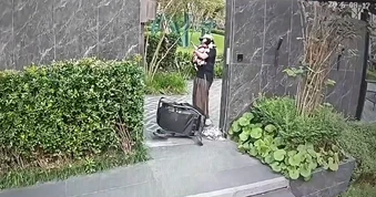 Clip “người phụ nữ bảo vệ chó cưng” gây tranh cãi tuần qua