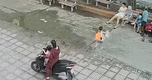 Clip “tai nạn từ sai lầm nhiều người Việt thường mắc" nổi bật tuần qua