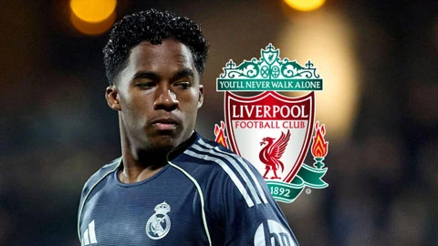 Liverpool quay lại với Endrick sau khi bị Brighton từ chối bán Minteh Liverpool quay lại với Endrick sau khi bị Brighton từ chối bán Minteh