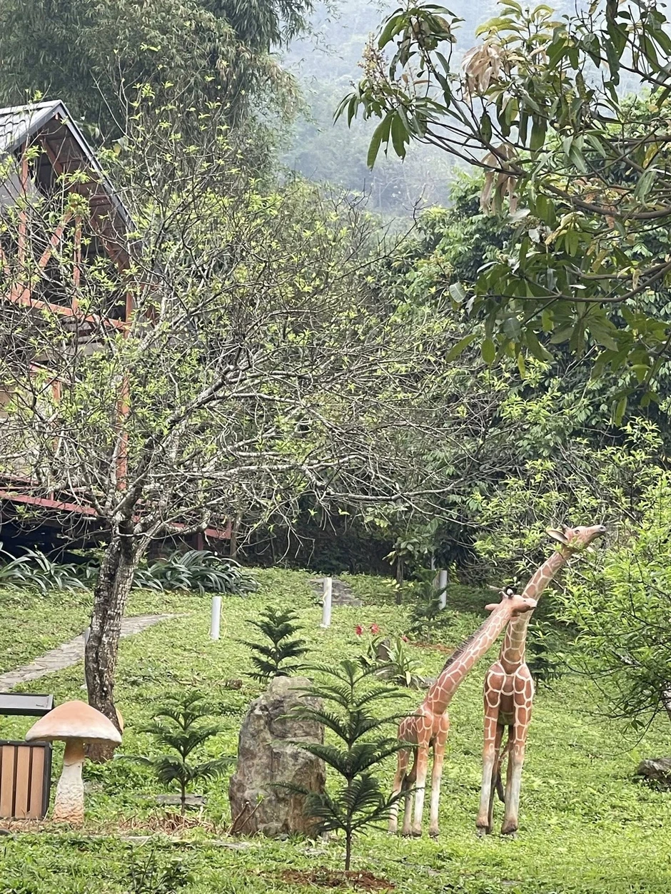 "Ông hoàng nhạc đỏ" Việt Hoàn để lại nhà cho vợ con sau ly hôn, ở 1 mình trên đồi 12.000m2 "Ông hoàng nhạc đỏ" Việt Hoàn để lại nhà cho vợ con sau ly hôn, ở 1 mình trên đồi 12.000m2