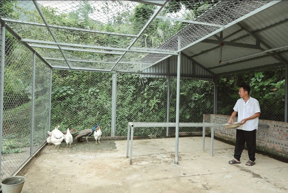 "Ông hoàng nhạc đỏ" Việt Hoàn để lại nhà cho vợ con sau ly hôn, ở 1 mình trên đồi 12.000m2 "Ông hoàng nhạc đỏ" Việt Hoàn để lại nhà cho vợ con sau ly hôn, ở 1 mình trên đồi 12.000m2