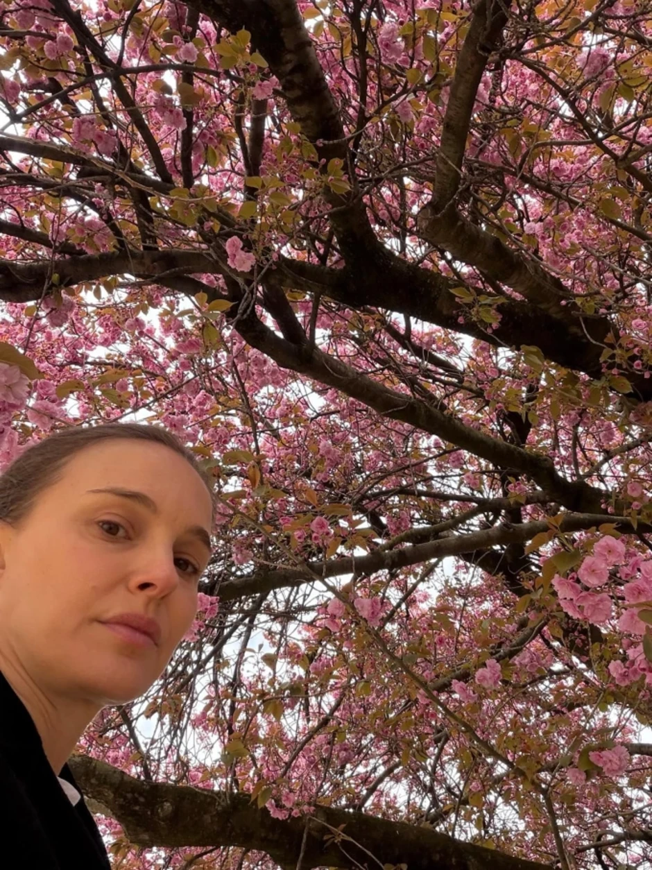 Cuộc sống Natalie Portman sau ly hôn Cuộc sống Natalie Portman sau ly hôn