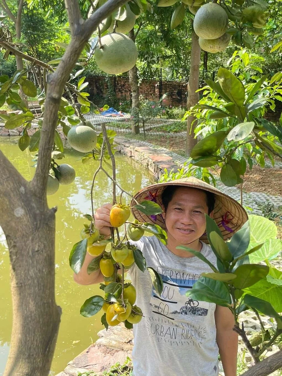Cuộc sống trồng rau, hái quả của nghệ sĩ Trọng Tấn Cuộc sống trồng rau, hái quả của nghệ sĩ Trọng Tấn