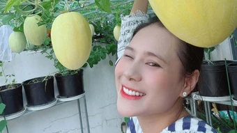 Dàn dưa lưới trên ban công của Hồ Bích Trâm