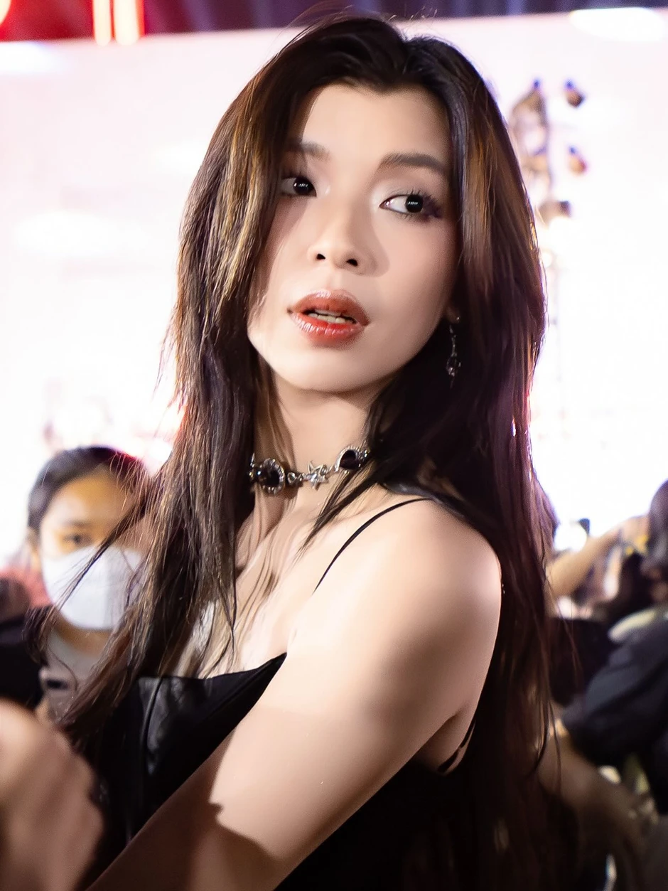Đồng Ánh Quỳnh xin lỗi Đồng Ánh Quỳnh xin lỗi