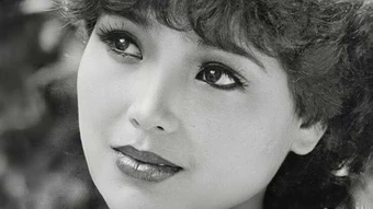 Nhan sắc một thời của 'Em bé Hà Nội' Lan Hương