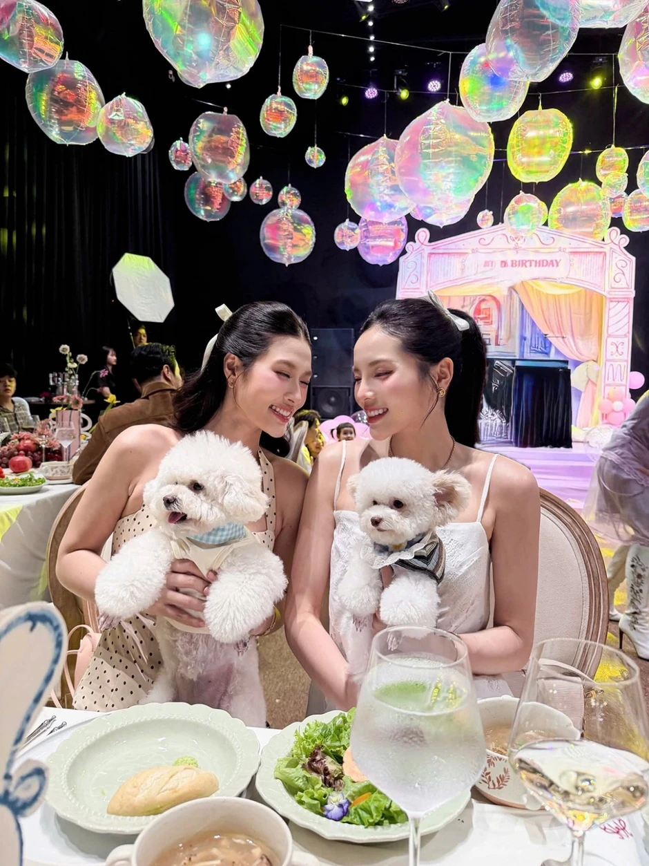 Sao Việt 18-8: Quỳnh Lương bị chỉ trích vì văng tục trên livestream Sao Việt 18-8: Quỳnh Lương bị chỉ trích vì văng tục trên livestream