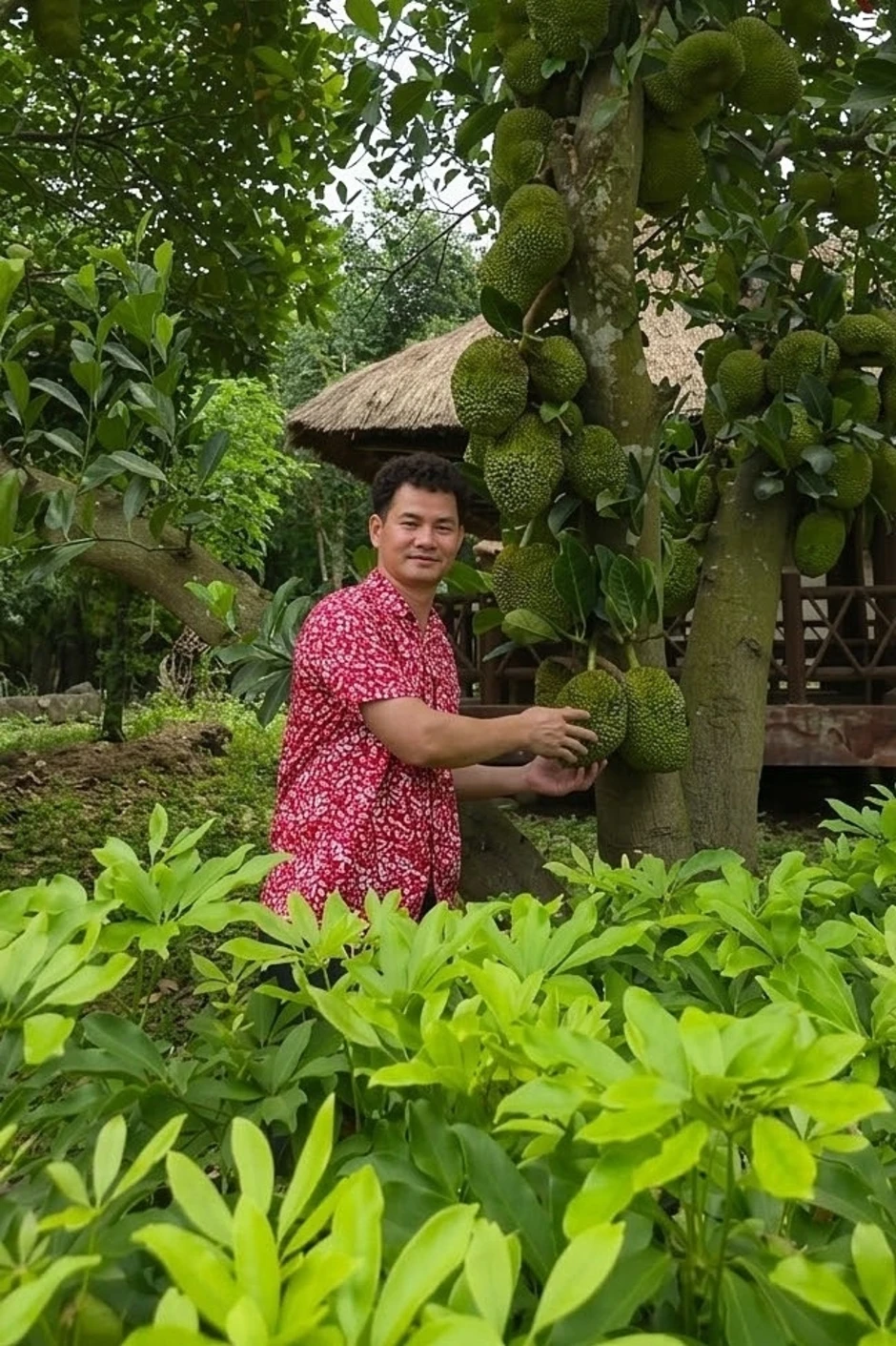 Sở thích làm vườn của nghệ sĩ Xuân Bắc Sở thích làm vườn của nghệ sĩ Xuân Bắc