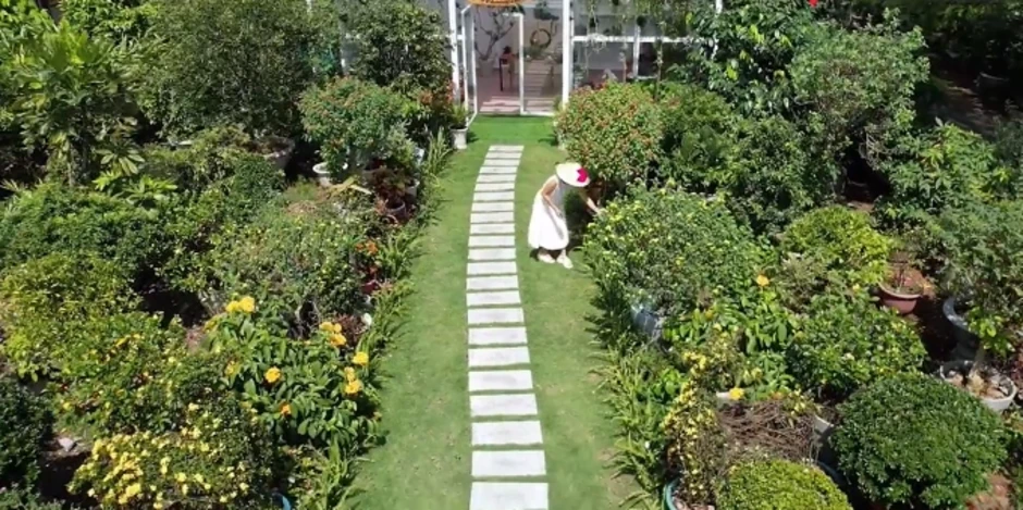 Vườn cây trái 10.000 m2 của Mỹ Lệ Vườn cây trái 10.000 m2 của Mỹ Lệ