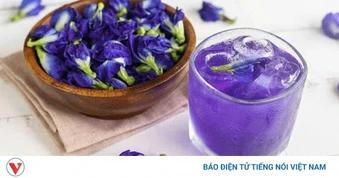 “Ăn hoa như ăn rau”: Trào lưu ẩm thực mới và những cảnh báo an toàn