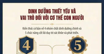 [Infographic] Cơ thể con người cần các chất dinh dưỡng nào và vai trò của các nhóm chất dinh dưỡng đó