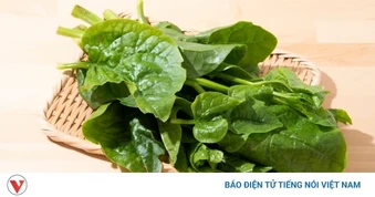"Dược liệu vàng" giúp bổ máu, dưỡng mắt và xương hiệu quả lại bán rẻ bèo ở chợ