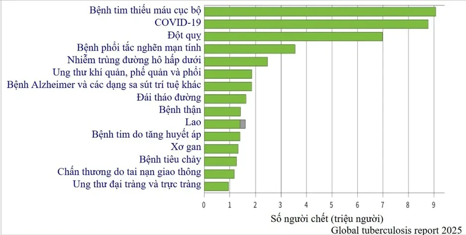 "Kẻ giết người thầm lặng" tồn tại dai dẳng "Kẻ giết người thầm lặng" tồn tại dai dẳng