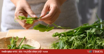 "Lộc xanh" trao sức khỏe