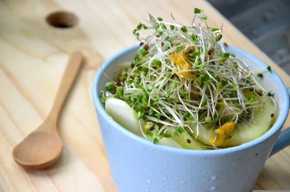 "Siêu thực phẩm" chống ung thư mạnh gấp 100 lần bông cải xanh: Ăn được chỉ sau 7 ngày tự trồng tại nhà "Siêu thực phẩm" chống ung thư mạnh gấp 100 lần bông cải xanh: Ăn được chỉ sau 7 ngày tự trồng tại nhà