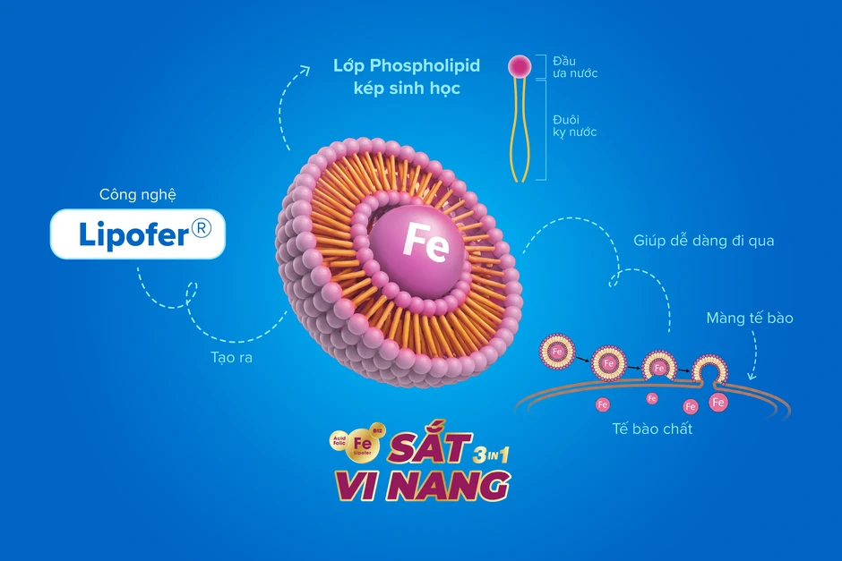 “Sắt vi nang 3 trong 1" hấp thu cao thế hệ mới từ Italy “Sắt vi nang 3 trong 1" hấp thu cao thế hệ mới từ Italy