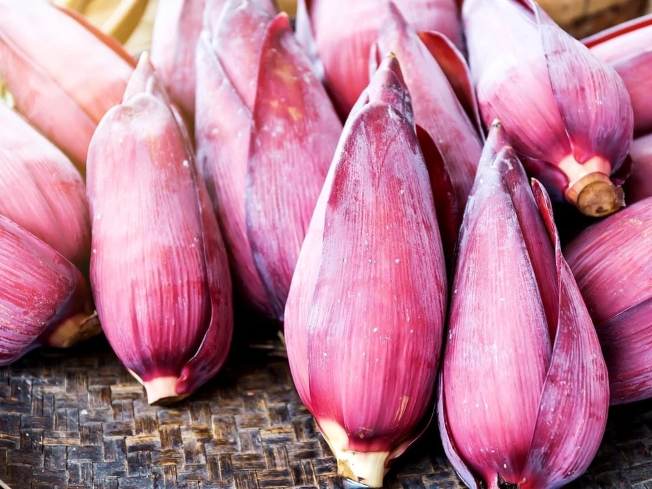 “Thuốc bổ tự nhiên” có sẵn ở Việt Nam, bổ thận dưỡng tim, cực tốt cho phái đẹp “Thuốc bổ tự nhiên” có sẵn ở Việt Nam, bổ thận dưỡng tim, cực tốt cho phái đẹp