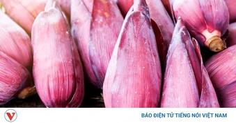 “Thuốc bổ tự nhiên” có sẵn ở Việt Nam, bổ thận dưỡng tim, cực tốt cho phái đẹp