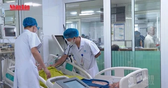 [Video] Sốc nhiệt nguy kịch do lao động giữa nắng nóng gay gắt