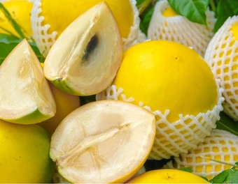 1 loại quả ngọt tốt ngang nhân sâm, chỉ duy nhất Việt Nam xuất khẩu trên thế giới: Hạ đường huyết, bổ máu, tốt cho xương khớp