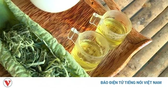 10 loại trà quen thuộc giúp hạ mỡ máu, tốt cho tim mạch