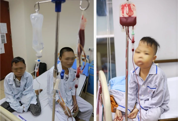 14 triệu người Việt mang gen thalassemia mà không hay biết 14 triệu người Việt mang gen thalassemia mà không hay biết