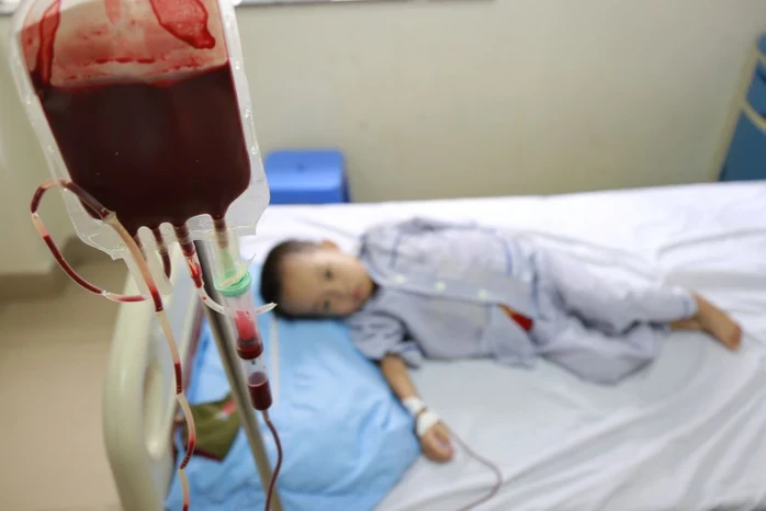 14 triệu người Việt mang gen thalassemia mà không hay biết 14 triệu người Việt mang gen thalassemia mà không hay biết