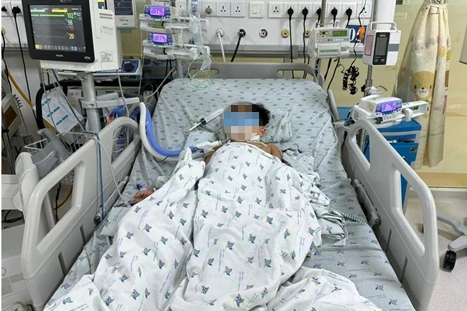 3 chị em nguy kịch sau khi liên tục ăn chuột đồng nhiễm chất độc 3 chị em nguy kịch sau khi liên tục ăn chuột đồng nhiễm chất độc