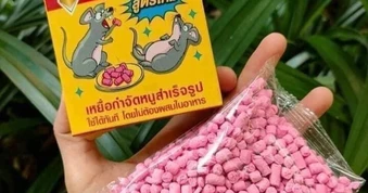 3 chị em nguy kịch sau khi liên tục ăn chuột đồng nhiễm chất độc