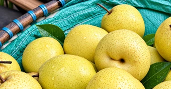 3 loại trái cây ‘toàn năng’ nhuận phổi, dưỡng gan, dạ dày