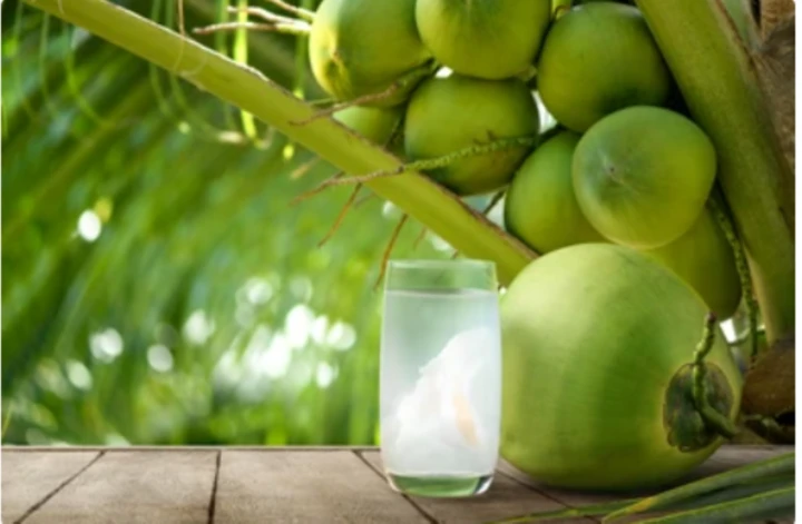 3 lời khuyên cho các gia đình hay uống nước dừa 3 lời khuyên cho các gia đình hay uống nước dừa
