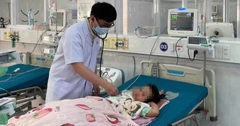 31 học sinh bị ong khoái tấn công, 19 em nhập viện