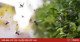 4 hành động đẩy lùi sốt xuất huyết