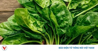 4 loại rau giúp giữ dáng, hỗ trợ cơ thể sản sinh collagen tự nhiên